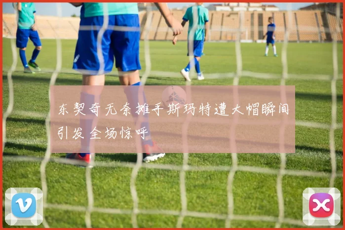 东契奇无奈摊手斯玛特遭大帽瞬间引发全场惊呼
