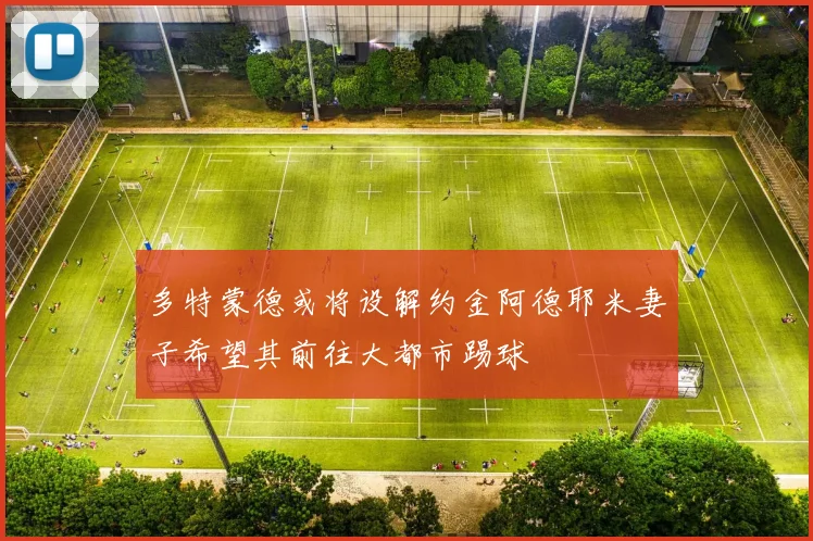 多特蒙德或将设解约金阿德耶米妻子希望其前往大都市踢球