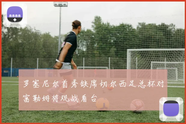罗塞尼尔首秀缺席切尔西足总杯对富勒姆将观战看台