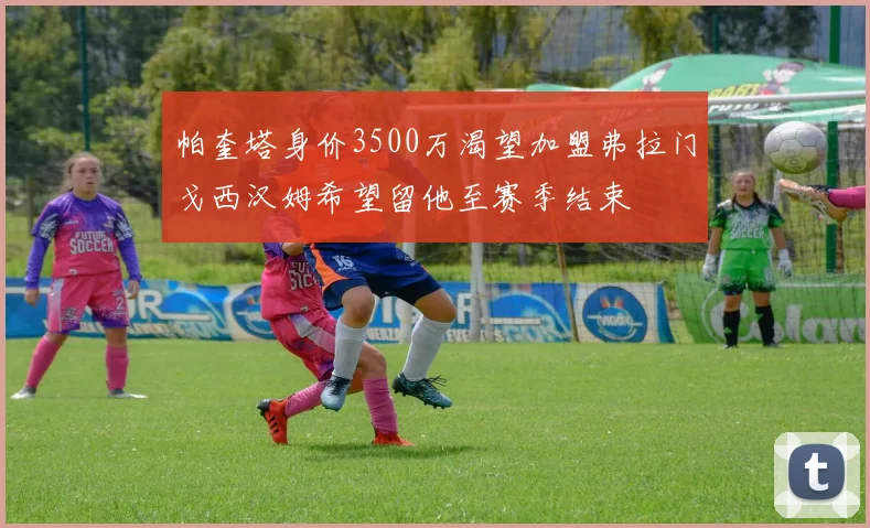帕奎塔身价3500万渴望加盟弗拉门戈西汉姆希望留他至赛季结束